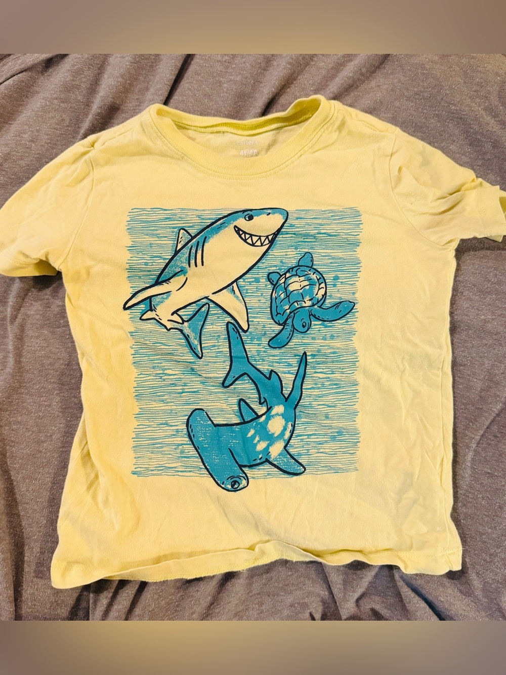 11 Boys Clothing Items in 4T - Shirts, Shorts, Pants, Pajamas, Socks